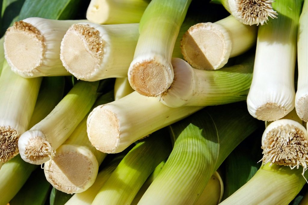 Leek 2199563 1920 1024x683