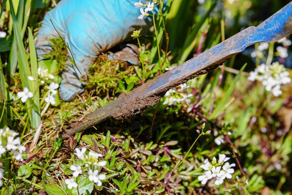 Gardening 3296781 1920 1024x686