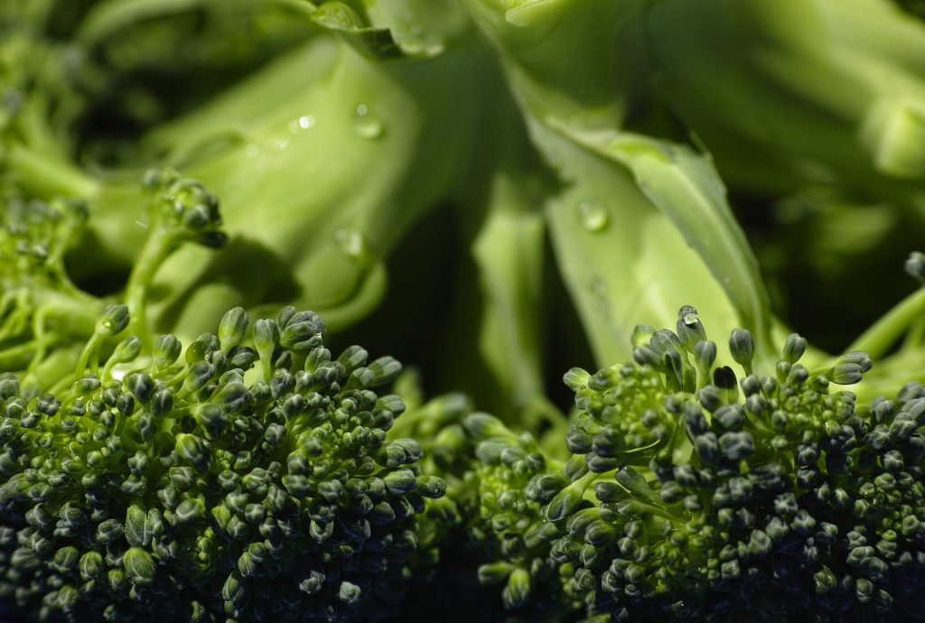 Broccoli 1792236 1920 1024x690