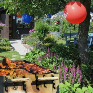 bbq party